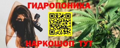 прущие крисы Нарткала