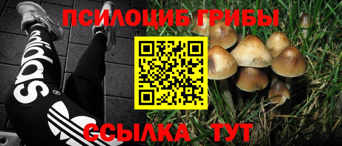 Галлюциногенные грибы мухоморы Тамбов