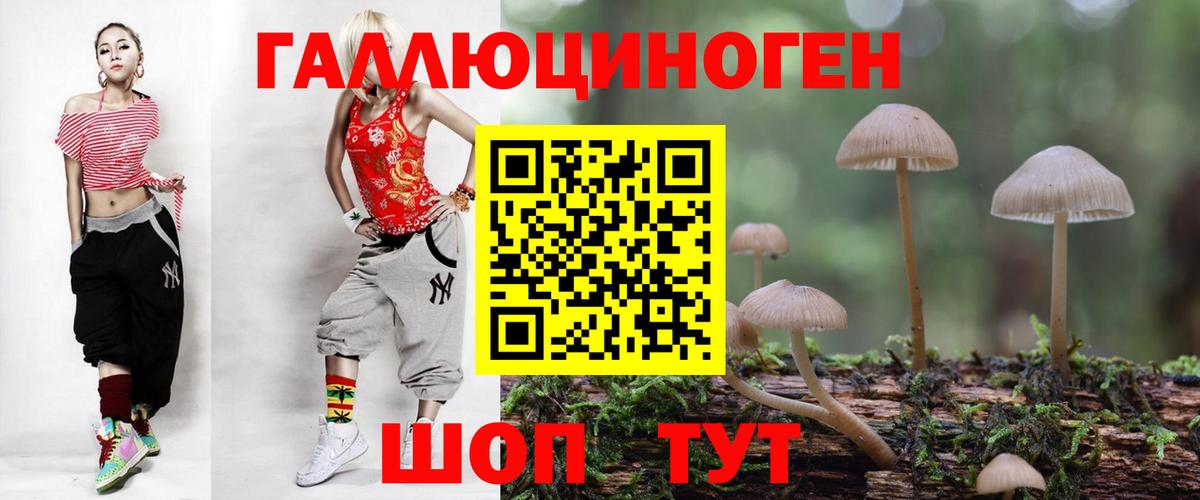 Галлюциногенные грибы GOLDEN TEACHER  Псилоцибиновые грибы MAGIC MUSHROOMS  Вход с VPN  Тамбов 