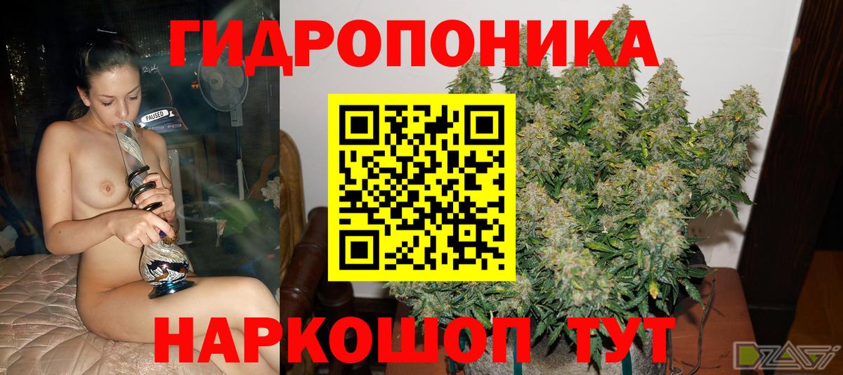 Канабис Bruce Banner Тамбов